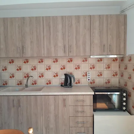 Litsa's House Apartment Neos Marmaras