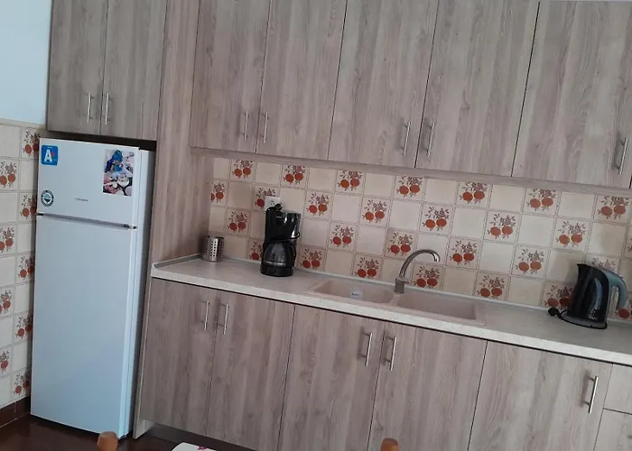 Daire Litsa's House Neos Marmaras