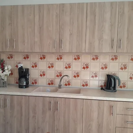 Litsa's House شقة *